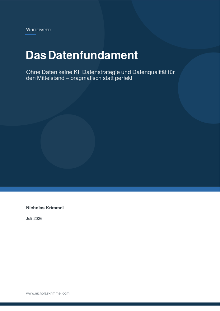 Cover: Das Datenfundament